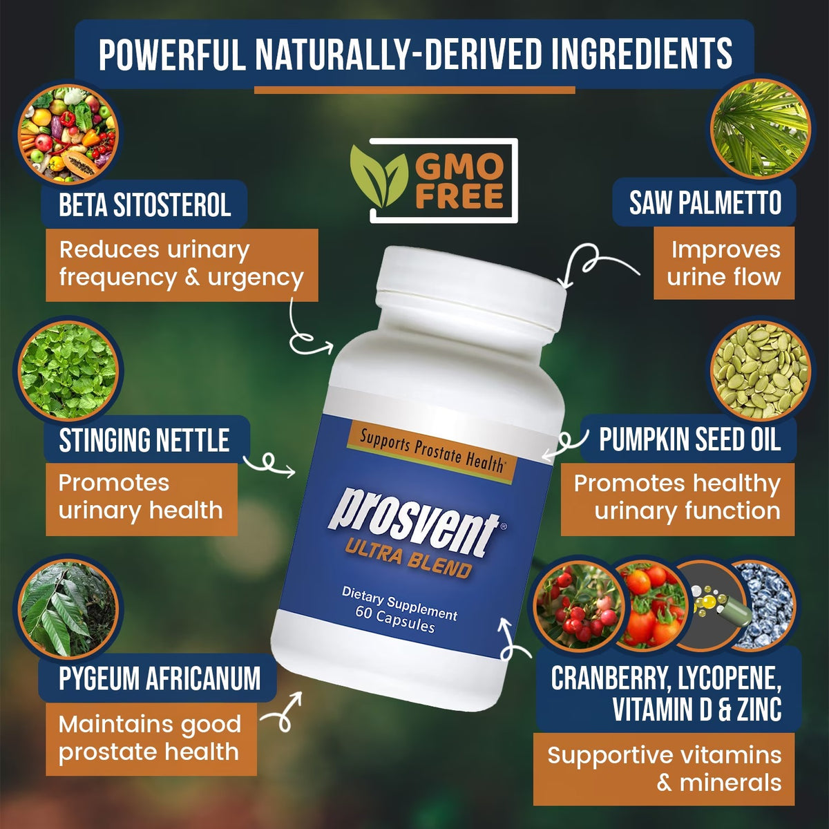 Prosevent Ultra Blend Dietary Supplement 60 Capsules | Prostate Support Formula